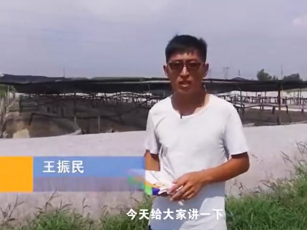 菌种介绍-芽孢杆菌介绍