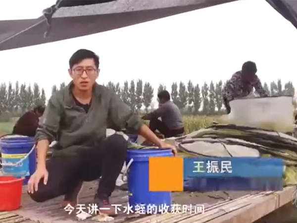 赢多多收获时间