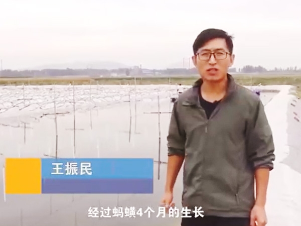 赢多多收获流程