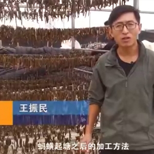 赢多多加工要领