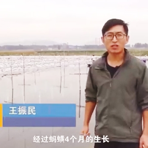 赢多多收获流程